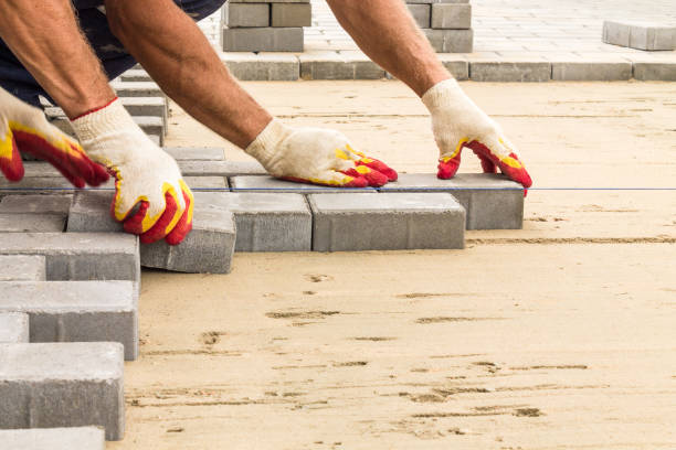 Best Driveway Paving Contractor  in Western Springs, IL